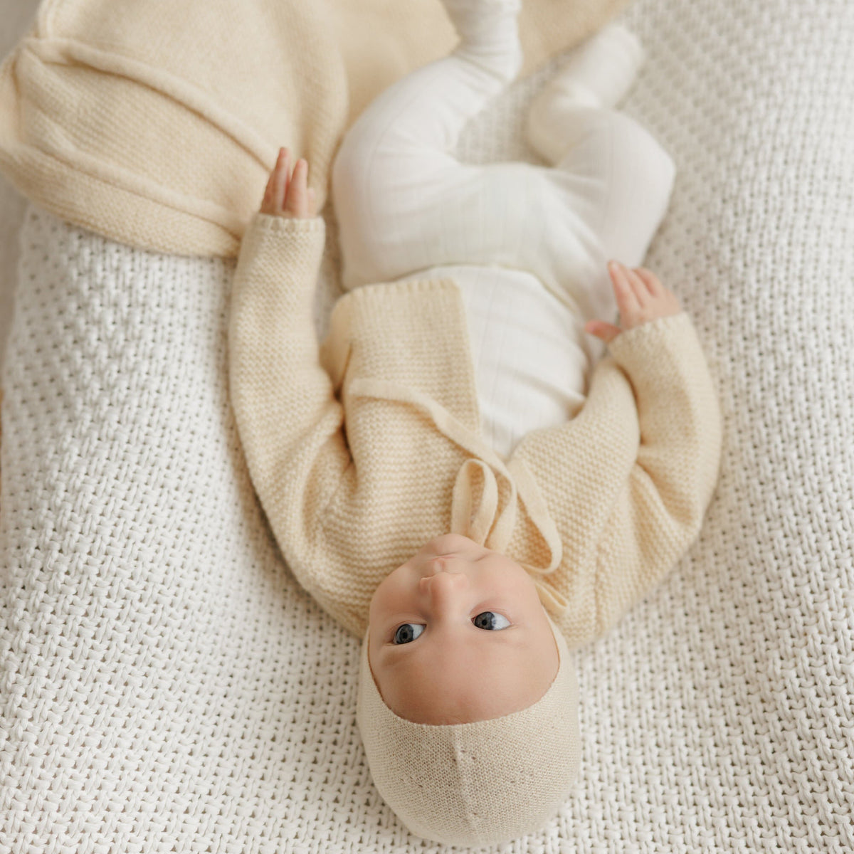 Cocoon [471W271B]