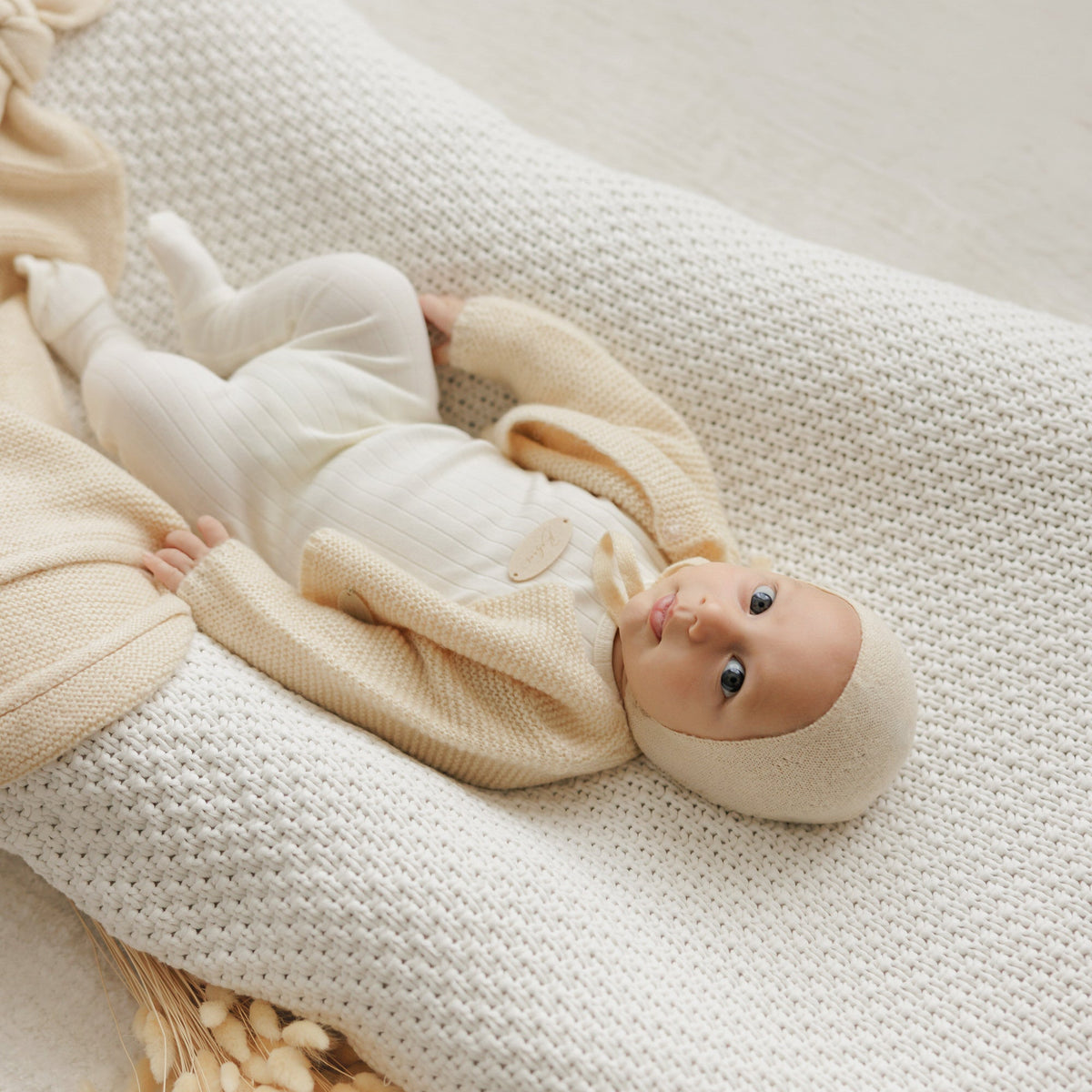 Cocoon [471W271B]