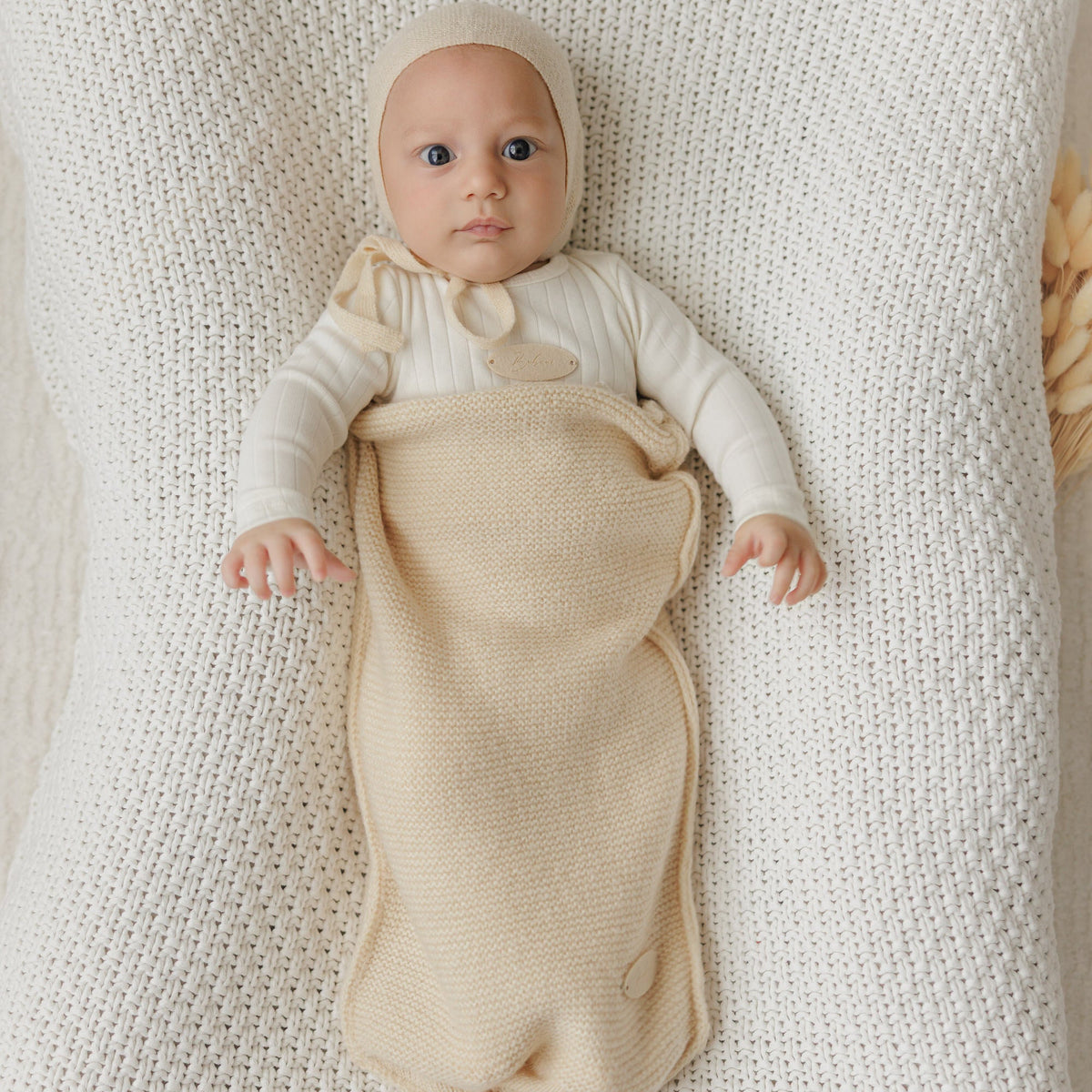 Cocoon [471W271B]